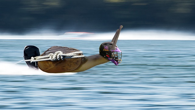 而即将开始