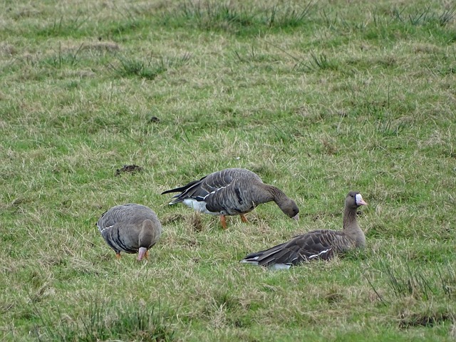 每一分努力 每一分努力