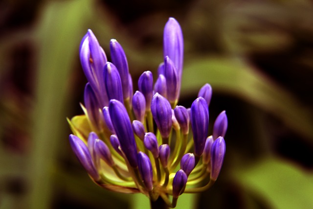 利的同时 利的同时