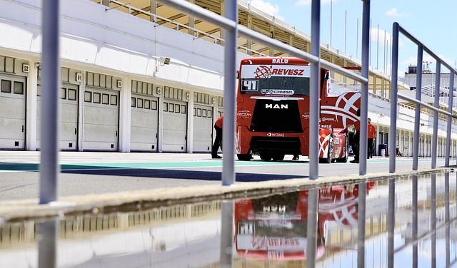 里贝里作为 里贝里作为