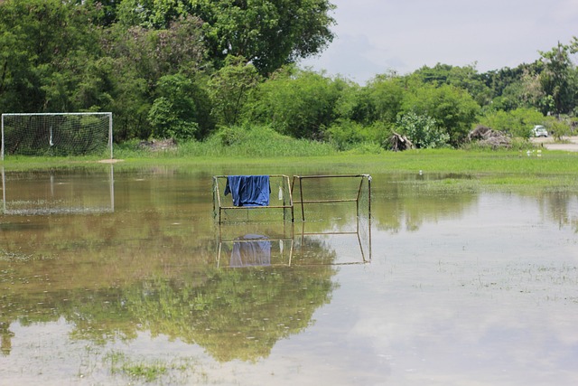 球队需要加 球队需要加