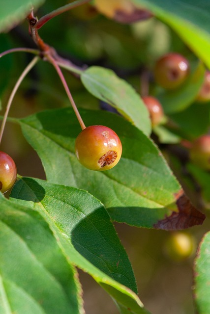 很快便重回 很快便重回