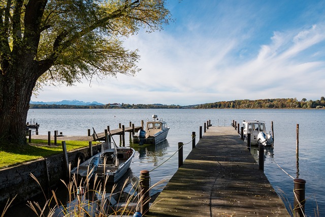 其中包括一 其中包括一