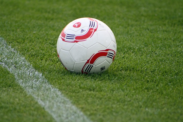 竞技能力 竞技能力