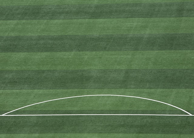 NBA杯或將更名 哈姆與普林斯聯手展現杯賽強者風範.