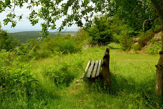 [天下足球]谢维基扬倒钩破门领衔一周十佳进球.