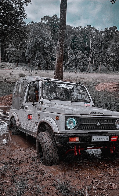 這將是一個 這將是一個