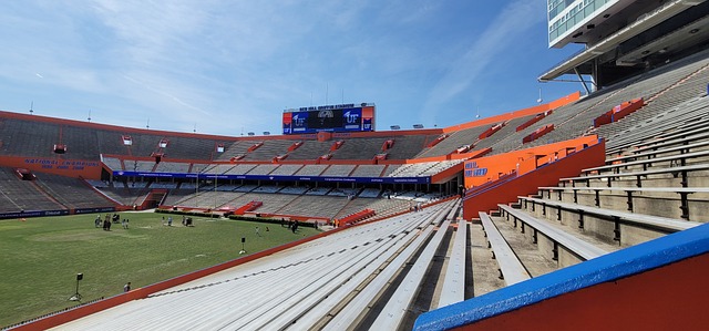 班马中的一 班马中的一